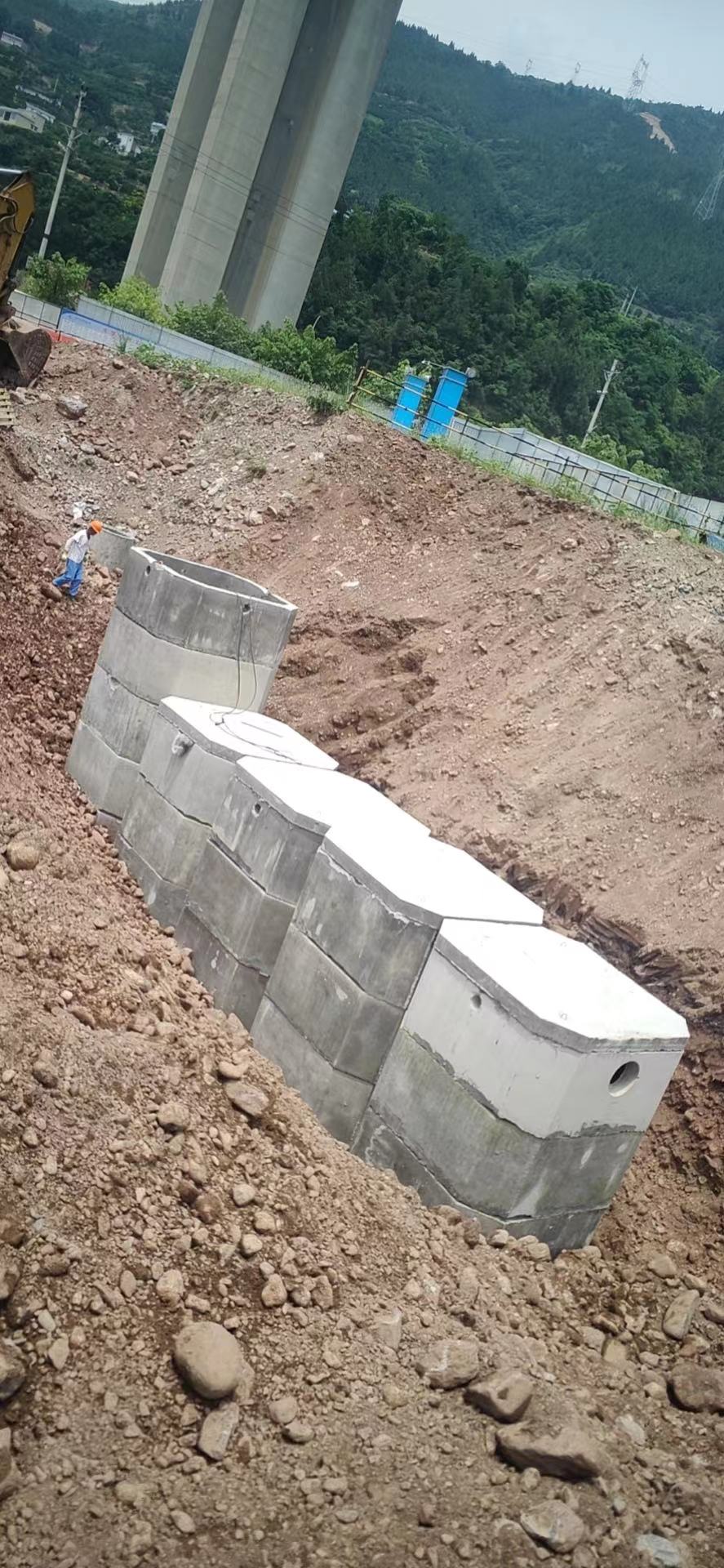 奉節(jié)臍橙110方.jpg